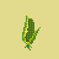 Green Corn Pickle