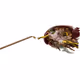 Avery Famous: Artist's Networked Collection