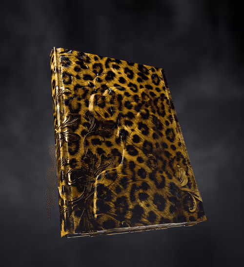 Item #459 Media