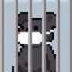 666