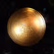 Turbo Toad Prop House Community Voting Token
