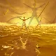 Vitruvian Woman #TheGoldStandard