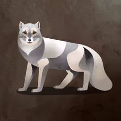 Arctic Fox