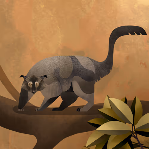 Binturong