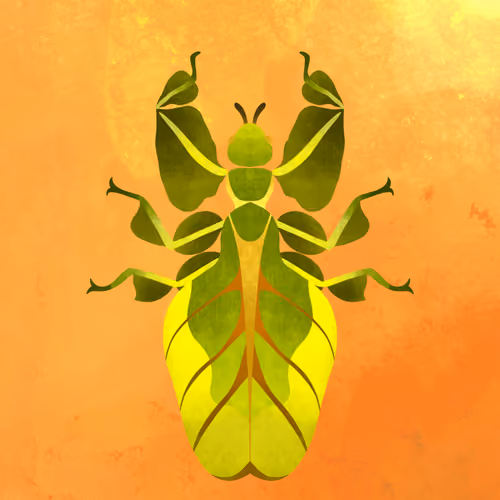 Gray's Leaf Insect