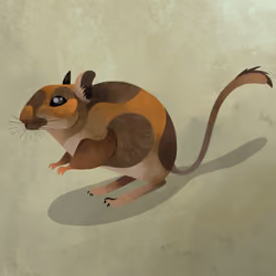 Gerbil