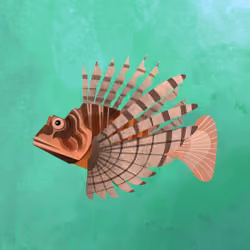 Lionfish