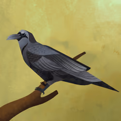 Raven