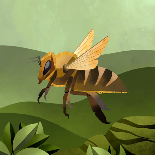 Bees
