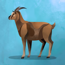 Goat