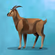 34