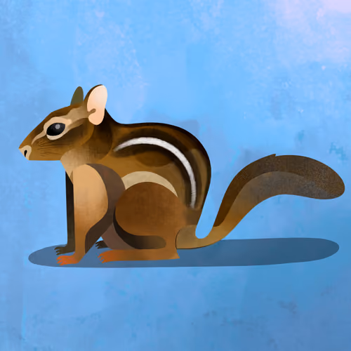 Chipmunk