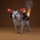 Doge-Pows