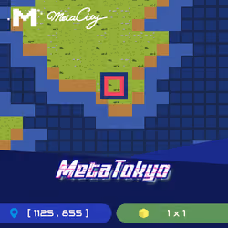 MetaTokyo Land NFT(1125,855)