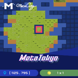 MetaTokyo Land NFT(1125,795)