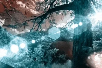 Unique One Foto