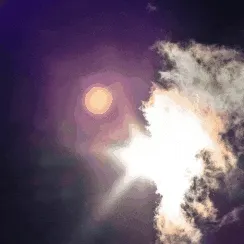 Unique One Foto