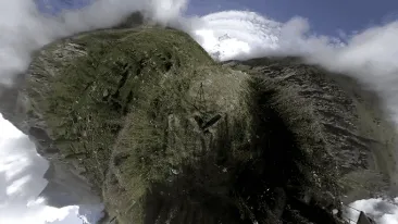 Unique One Foto
