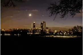 Unique One Foto