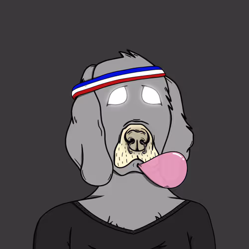 Okay Dog Not Club