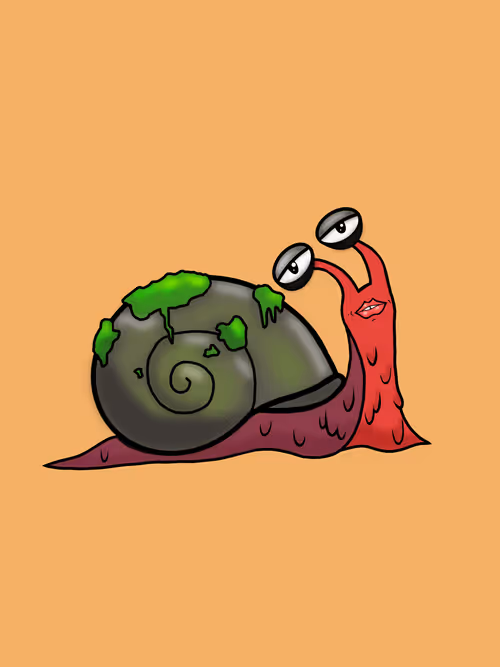 Item #31 Media