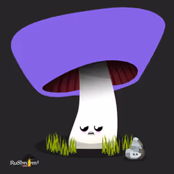 237