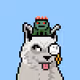 7797