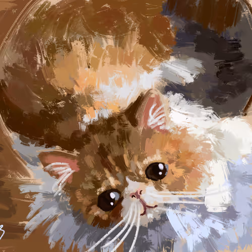 Doodle Cats