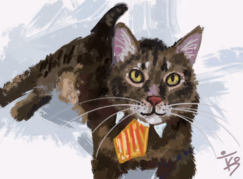 Doodle Cats