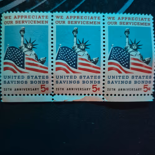25th  Anniversary of the U.S