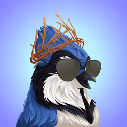 #4973 Bluejay