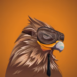#1064 Hawk