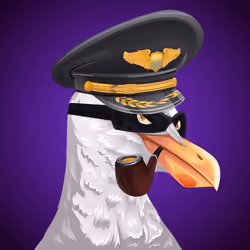 #766 Seagull