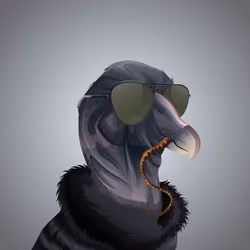 #1767 Condor