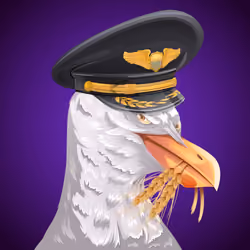 #100 Seagull