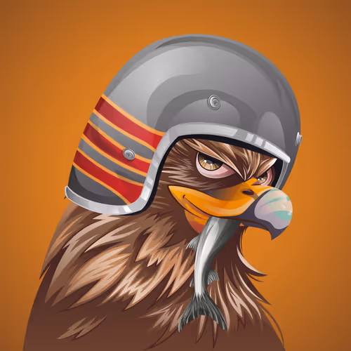 #2992 Hawk
