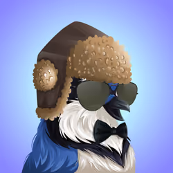 #5072 Bluejay