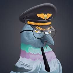 #182 Pigeon