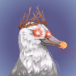 #1197 Albatross