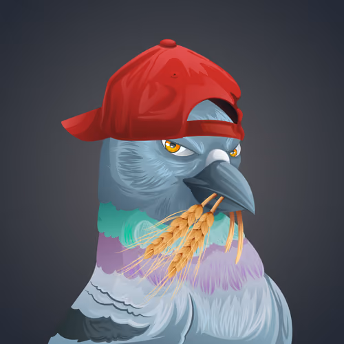 #2388 Pigeon