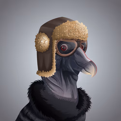 #5955 Condor