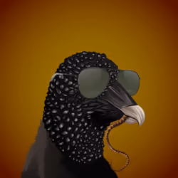 #3539 Vulture