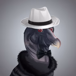 #554 Condor