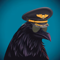 #171 Crow