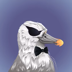 #973 Albatross