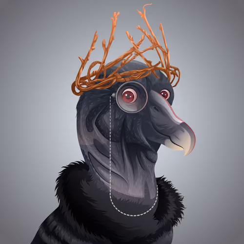 #801 Condor