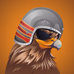 #384 Hawk