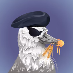 #1001 Albatross