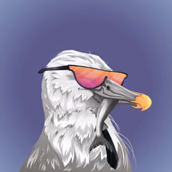 #1097 Albatross
