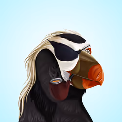 #2461 Puffin